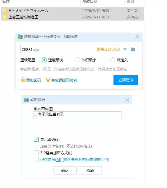 H、女仆与我家 Hとメイドとマイホーム ver2 PC+安卓 内嵌AI… [1+1.53g][百度盘]
