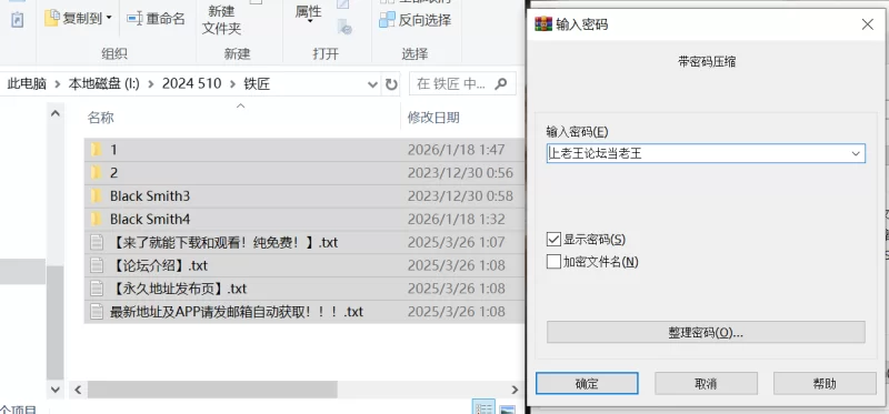 PCslg/铁匠1到4合集(Black Smith)中文步兵 [1+2.21G][百度盘]