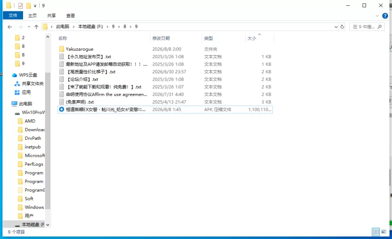【更新官方安卓/PC+AZ/SLG/神级】极道无赖EX:女警v1.2.0 [2+3.2G][百度盘]