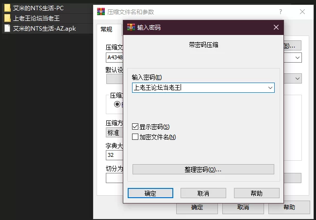 PC+安卓–艾米的NTS生活 Eimi’s NTS Life V0.2.2 汉化版 [1+1.46G][百度盘]