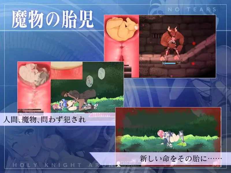 【ACT官方AI汉化PCCV动态】聖騎士アルネと魔孕の呪印 [1+1.3G][百度盘]