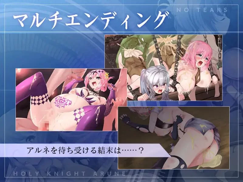 【ACT官方AI汉化PCCV动态】聖騎士アルネと魔孕の呪印 [1+1.3G][百度盘]