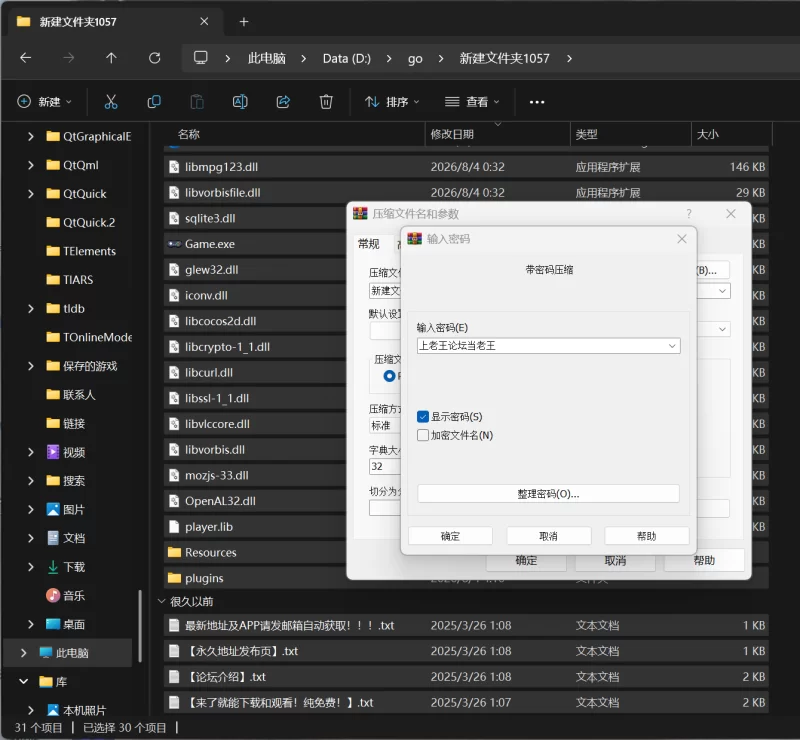 【ARPG/官中步兵/PC】治愈使与受诅咒的地下城Ver1.0.5+DLC [3+2.4G][百度盘]