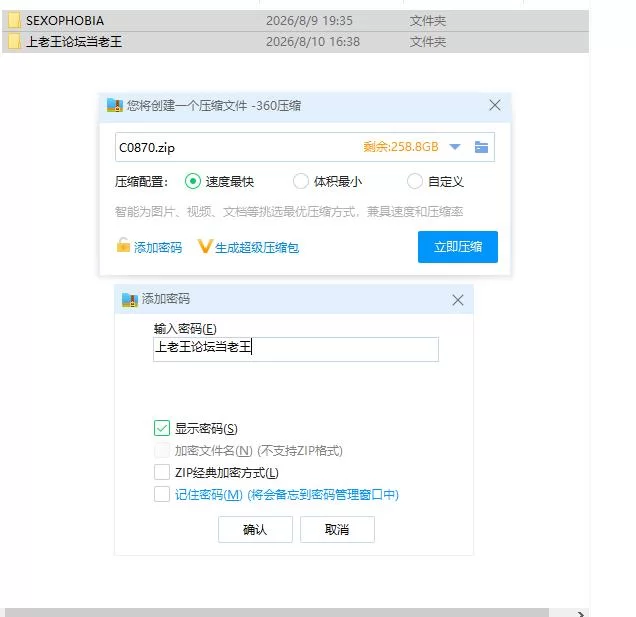 pc 性恐惧症 SEXOPHOBIA STEAM官中步兵版 [1+1.2g][百度盘]