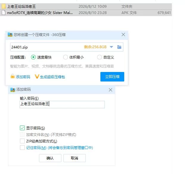 连续高潮的少女 Sister Maiden.v1.0.0【安卓 [1+655m][百度盘]