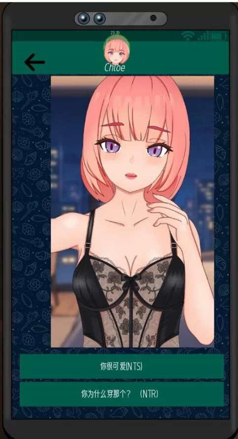 SLG/官中无码   NTR CORE  寝取核心 [1+407M][百度盘]