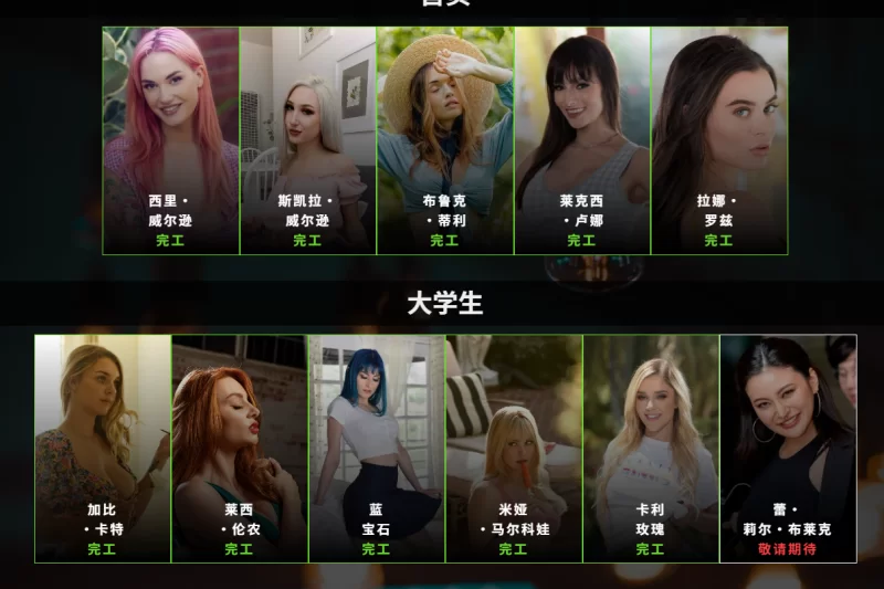 PC 真人页游 A chance to take it all 0.18   游戏+存档 29G [8+29G][百度盘]