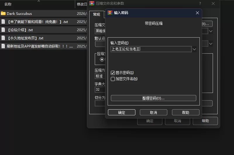 [PC/3D/动态/官中] 黑暗魅魔 Dark Succubus [1+1.58GB][百度盘]