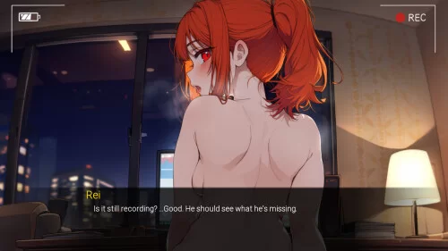 PC+安卓– [SLG/动态/官中步兵] NTR Hotel [1+2.47G][百度盘]