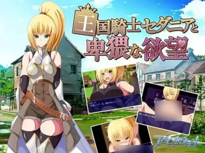 王国骑士瑟妲妮雅与下流的欲望 1.0.0【PC+安卓 [1+890m][百度盘]