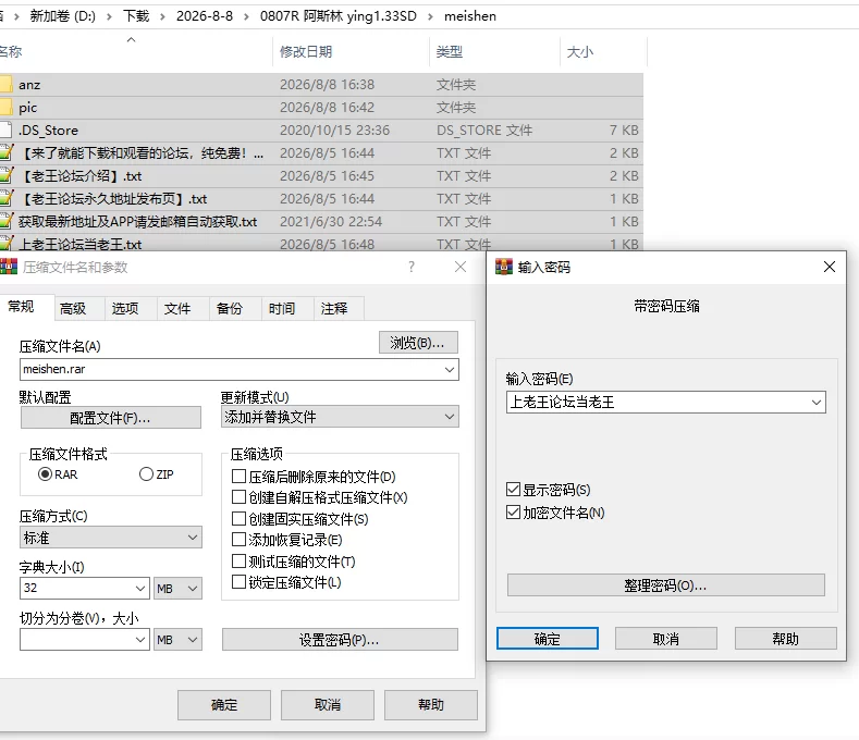 双端神作/RPG更【官无】影色渐染~阿斯林顿的妹神官Ver1.3.3+D [1+解压前6.56GB][百度盘]