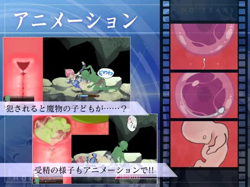 【ACT官方AI汉化PCCV动态】聖騎士アルネと魔孕の呪印 [1+1.3G][百度盘]