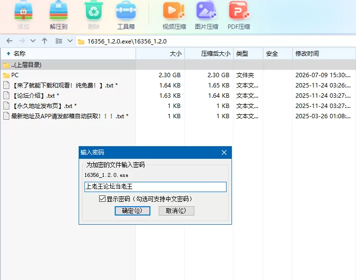 极道无赖EX:女警1.2.2官中【PC+安卓(新)+全CG存档】Yakuza Outlaw EX [4+3.3G][百度盘]