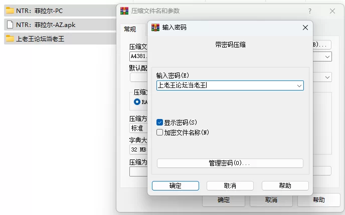 PC+安卓–NTR 费拉雷 NTR Felare V0.2.4b 汉化版 [1+4.94G][百度盘]