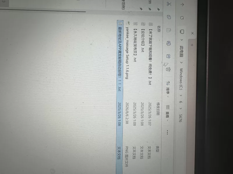 pc最终版以前欺负我的不良少女来光顾我的按摩店了～【不良少女按摩】 [1+300m][百度盘]