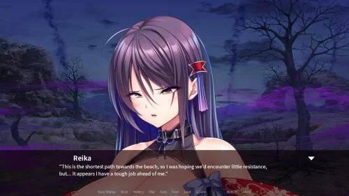 [PC-ADV]公主骑士在不停高潮中沦陷1.2.5官中版 [1+1.3g][百度盘]