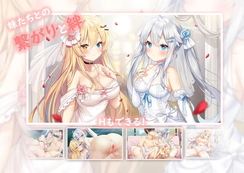 [PC/模拟器/2D/ADV]想要诉说的心意 イモコネー届けたい恋心 [3+6.98G][百度盘]