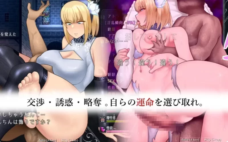 [PCRPG官中存档] 圣女渎神 アンホーリーメイデ v1.010 [2G] [1+2G][百度盘]
