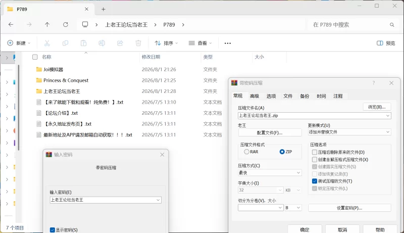 [PC/模拟器/2D/神作/最新/全DLC]公主与征服 Princess & Conquest V1.06 [2+1.47G][百度盘]