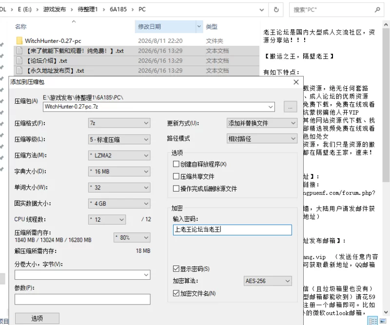 【PC+安卓/SLG/官中】 女巫猎人 Witch Hunter v0.27 [2+7.73G][多种下载方式]