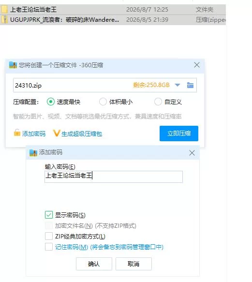 流浪者：破碎的床 v1.0 官中步兵版【PC [1+2.26g][百度盘]
