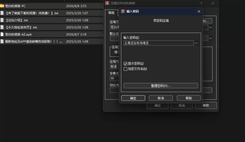 [PC+安卓/汉化] 苍白的谎言 White Lie v0.1.6 [1+527.77MB][百度盘]