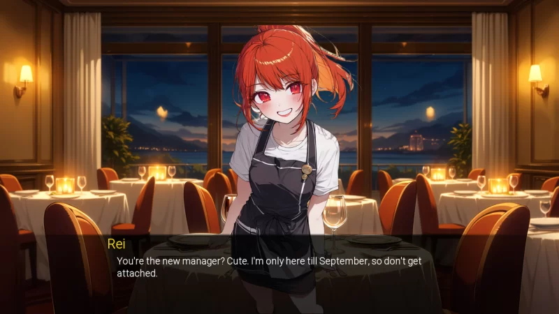 【日系SLG/官中/步兵/PC】NTR 酒店 NTR Hotel 官方中文步兵版【… [1+1.42G][百度盘]