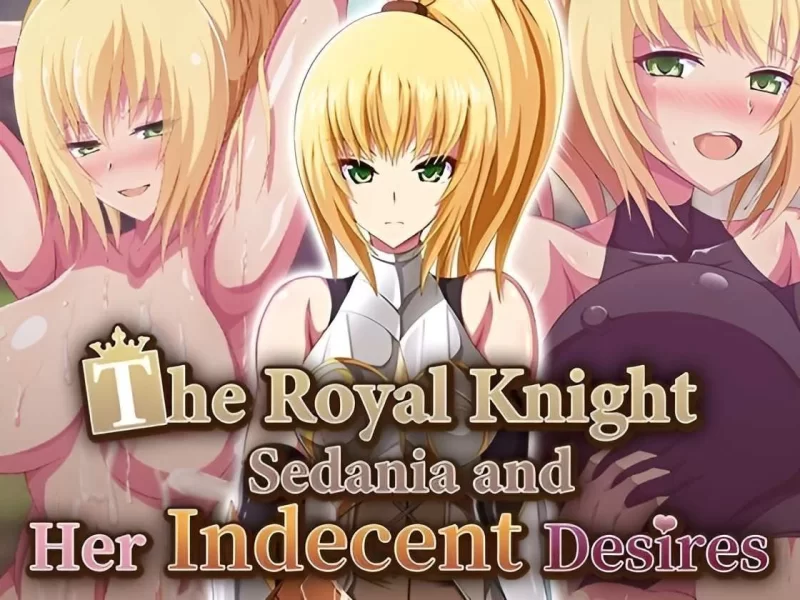 【pc】王国骑士瑟妲妮雅与下流的慾望 官方中文版 [1+0.6g][百度盘]