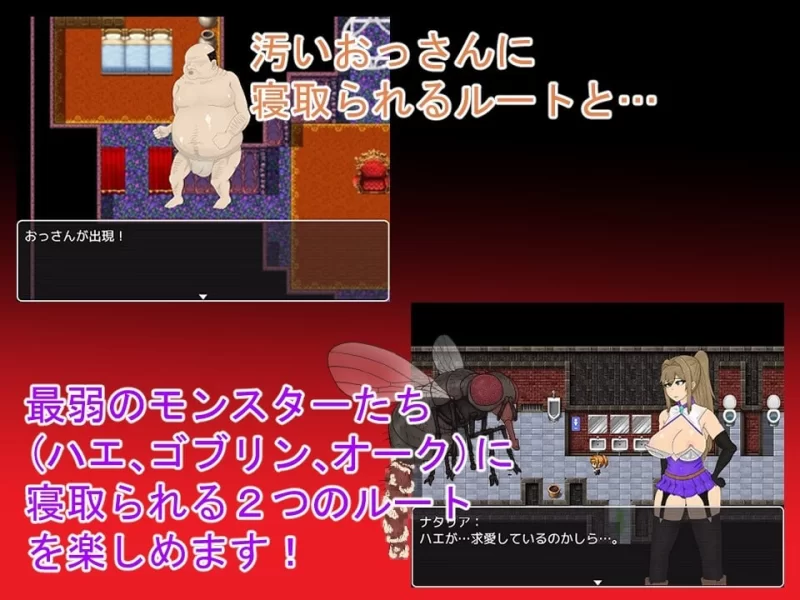 [PC][RPG/2D/亚洲]NTRRPG 堕落之塔与跨种族淫乱 NTRRPG 堕落の塔… [1+973M][百度盘]