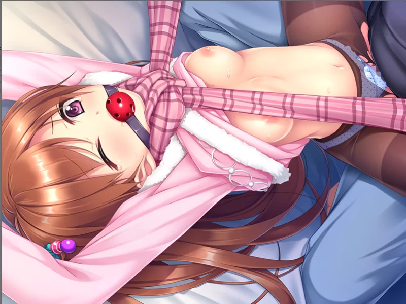 【PC】Juicy妹妹☆变态啪啪啪～v1.0+存档+汉化 [1P+400M][百度盘]