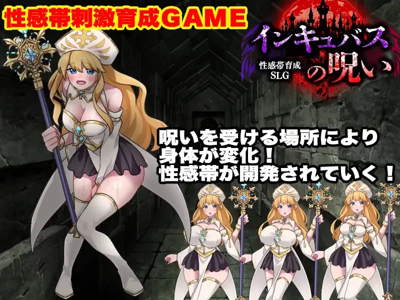 [SLG汉化PC]敏感带培育SLG 梦魔的诅咒 性感帯育成SLG イン [1+500M][百度盘]