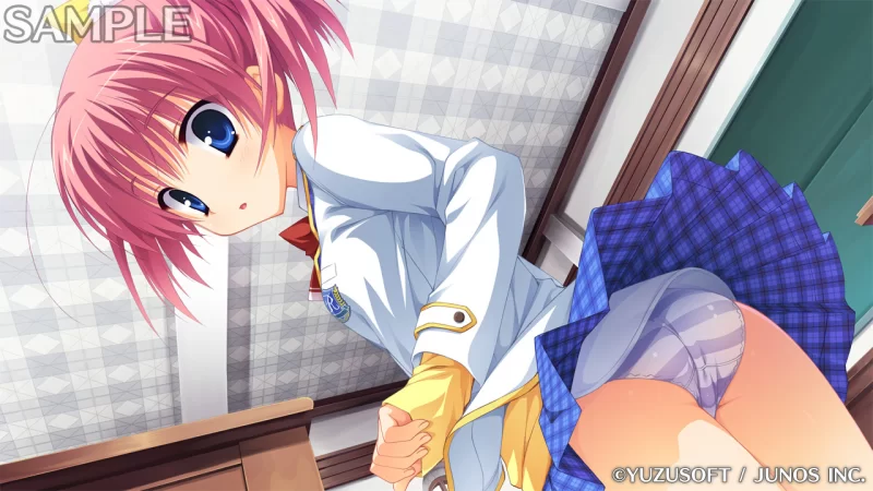 PC[ADV/学园]贵族工作 のーぶる☆わーくす 汉化[PC+安卓kr] [1+3.1g][百度盘]
