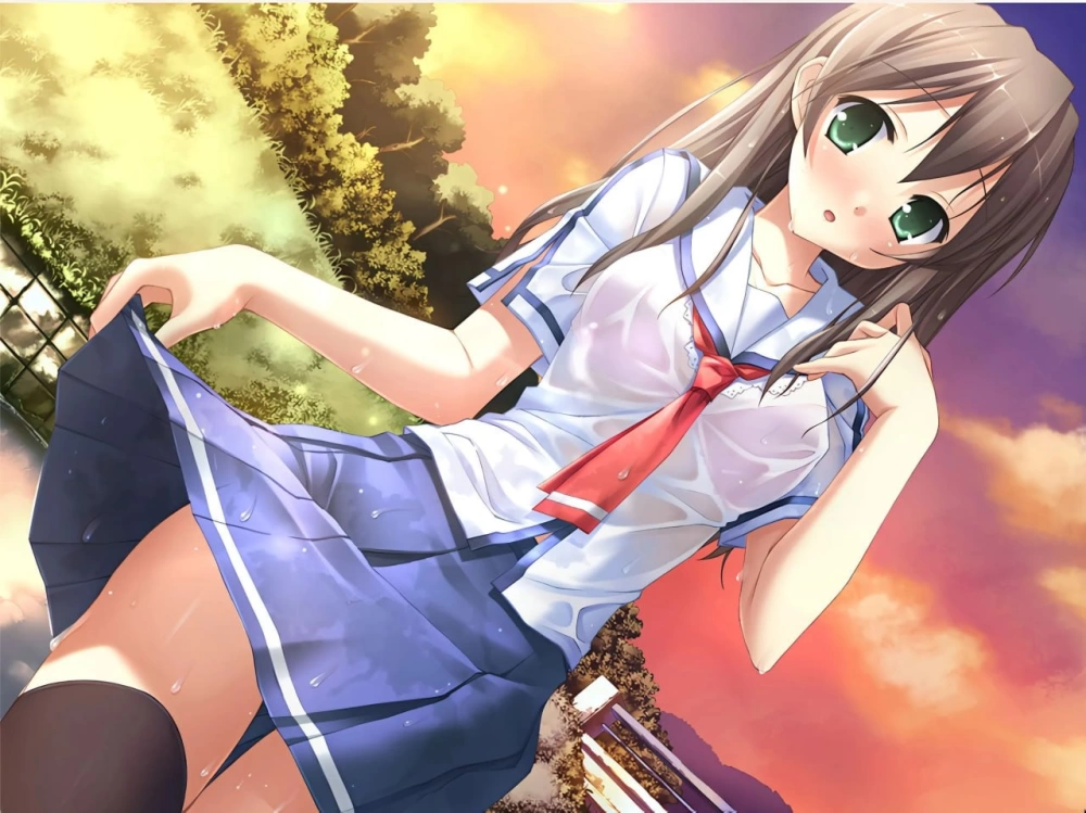 [ADV/PC/存档/汉化]夏之雨～夏ノ雨 [1+1.5g][百度盘]