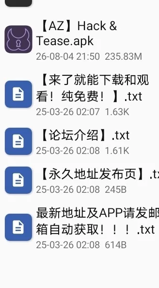【安卓】黑客与挑逗 [1+228M][百度盘]