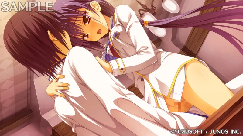 PC[ADV/学园]贵族工作 のーぶる☆わーくす 汉化[PC+安卓kr] [1+3.1g][百度盘]