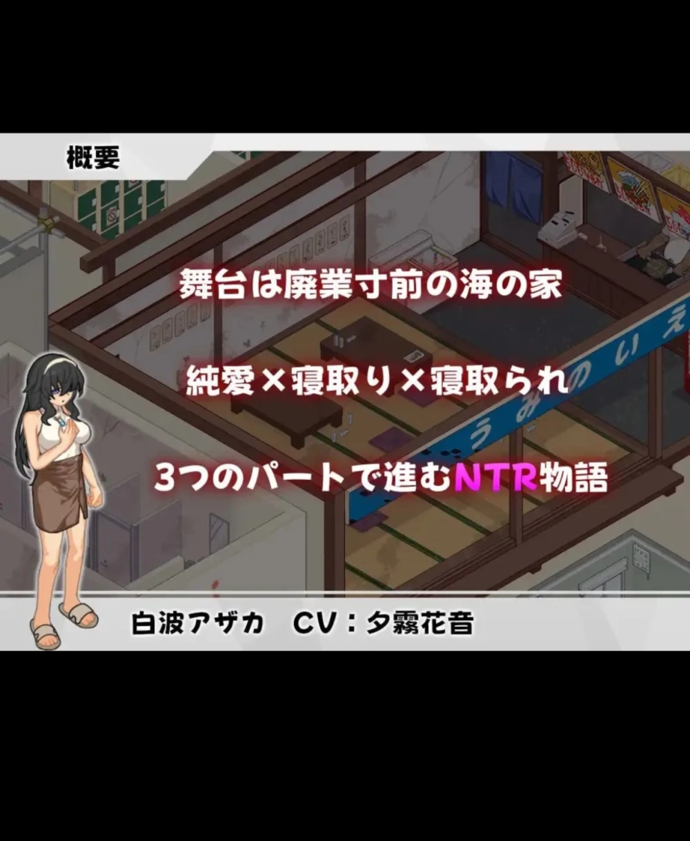 [PC+安卓/SLG/CV/像素/动态/NTR]海之家～NTR物语～ +全CG存档 [1+600MB][百度盘]