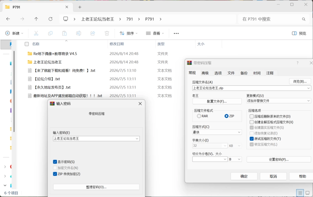 [双端/全CG]RE:地下偶像X教辱育录 地下アイドル×教辱育録V4.5 [4+1.35G][百度盘]