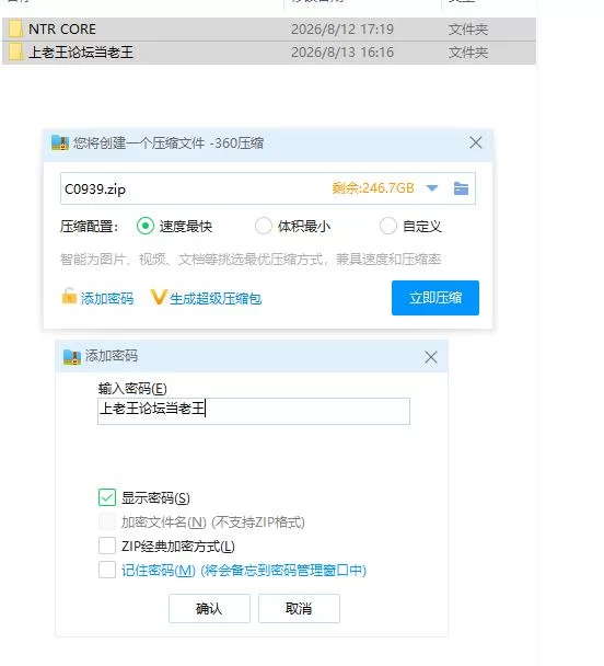 PC/NTR核心 NTR CORE 官中步兵版 [1+240m][百度盘]