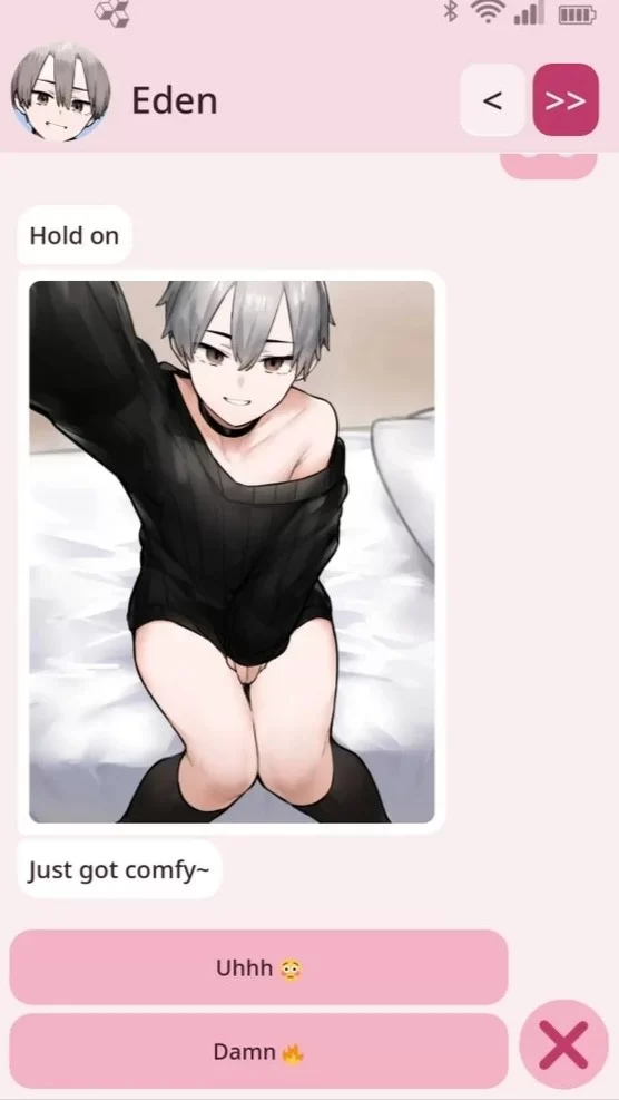 [PC安卓 SLG/伪娘]伪娘手机 Femboy Phone v0.3.0 官中 [1+91mb][百度盘]