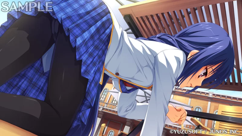 PC[ADV/学园]贵族工作 のーぶる☆わーくす 汉化[PC+安卓kr] [1+3.1g][百度盘]