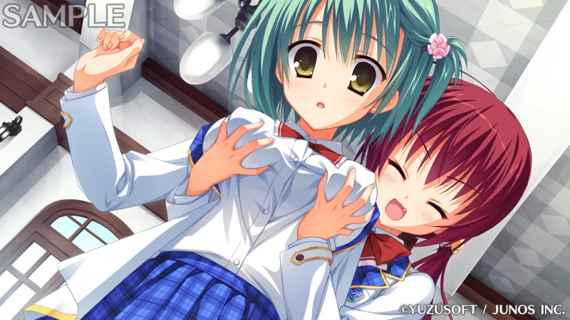 PC[ADV/学园]贵族工作 のーぶる☆わーくす 汉化[PC+安卓kr] [1+3.1g][百度盘]