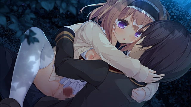 PC[ADV/纯爱]候鸟的梦 pieces/渡り鳥のソムニウム 汉化 [1+1.1g][百度盘]