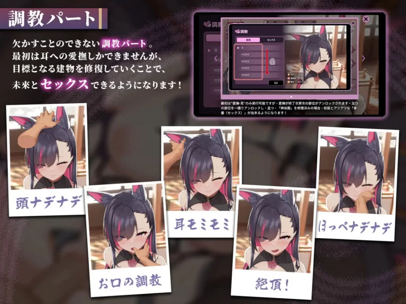 PC[沙盒SLG/动态] 妖狐的深夜直播 V26.08.12 官中步兵+画集+存档 [1+17g][百度盘]