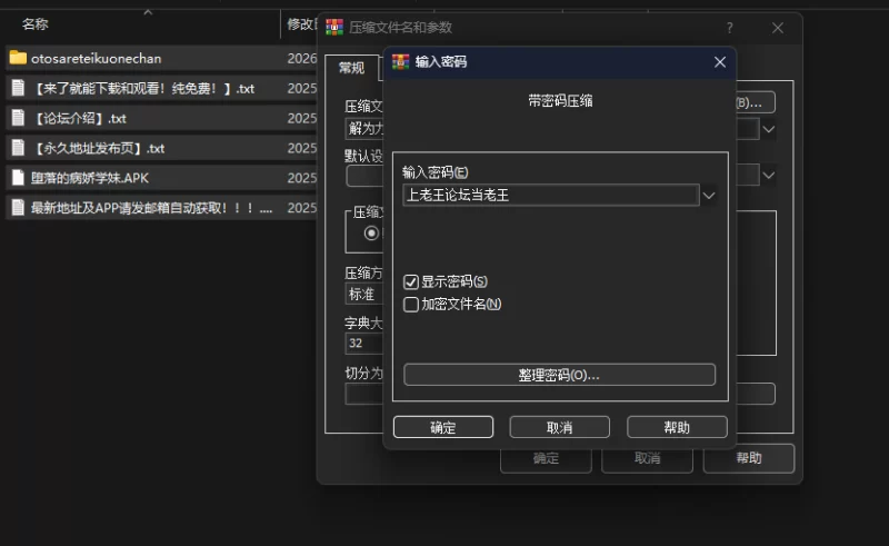 [PC+安卓直装/黑皮/巨乳/汉化] 被堕落的姐姐与无能为力的我 [1+1017.01MB][百度盘]