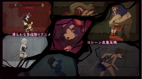 【日式ACT/中文/动态/PC】细胞象限/CelSector V1.1.2 官方中文版 [1+400mb][百度盘]