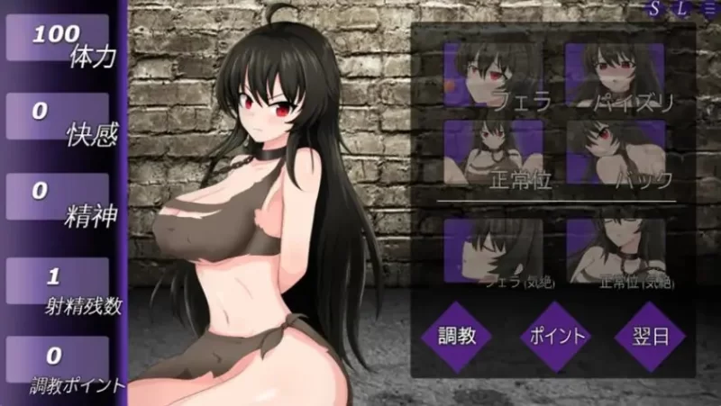 【PC】奴隶人偶 – （Slave Doll –） B.10860874 官中版+日式SLG [1P+500M][百度盘]