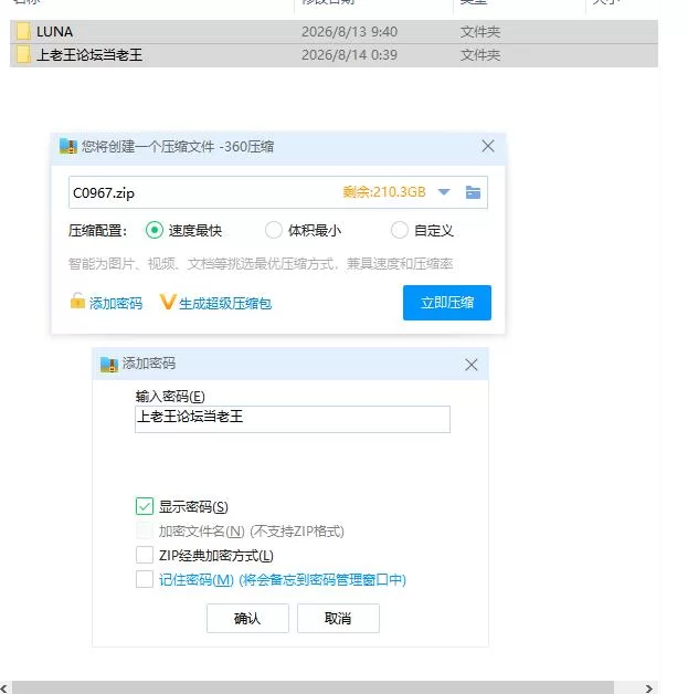 pc露娜 LUNA v1.2.093 Steam官中步兵版 [1+3.18g][百度盘]