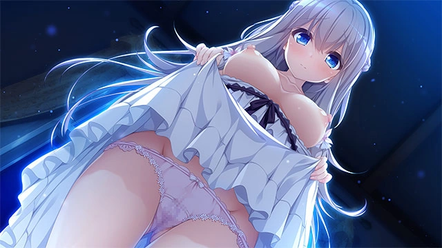 PC[ADV/纯爱]候鸟的梦 pieces/渡り鳥のソムニウム 汉化 [1+1.1g][百度盘]
