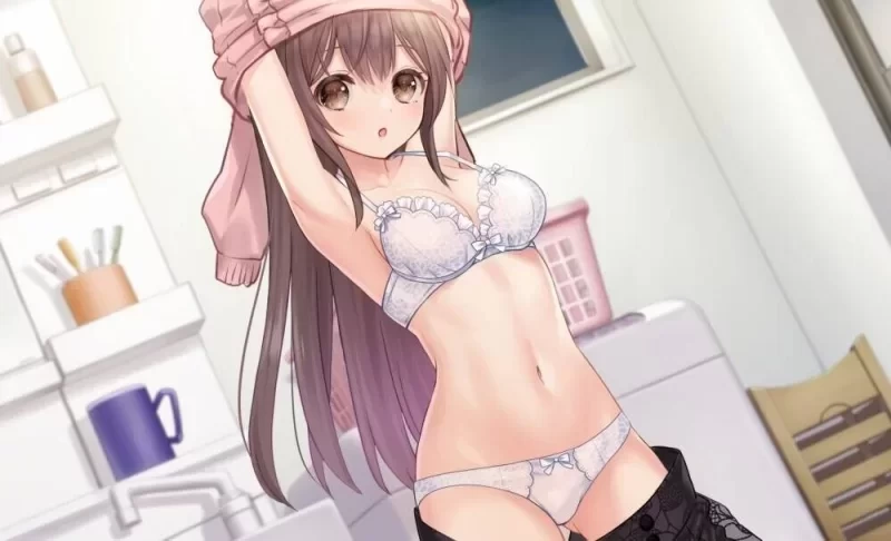 [PC/SLG/汉化] 两人生活 同居生活 ふたりぐらし v1.691+存档 [1+2G][百度盘]