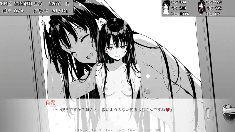 [SLG/AI汉化/PC+安卓]漏洞百出！与姨妈和堂妹的同居生活 v1.62 [2+4G][百度盘]